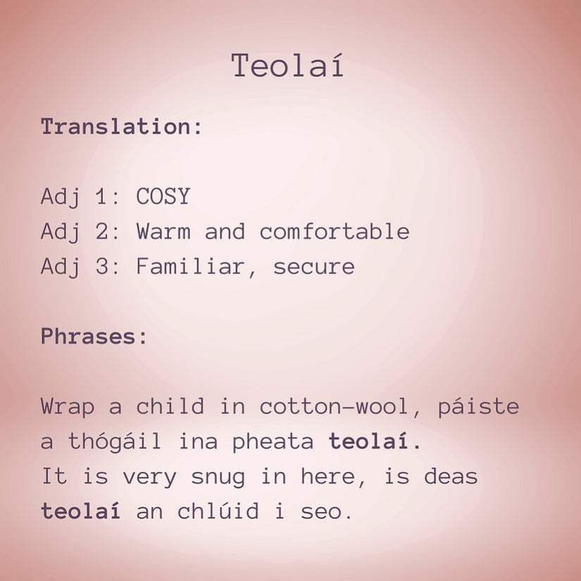 Teolaí Muslin Blanket - Leopard